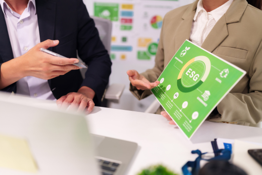ESG Sustainability Advisory