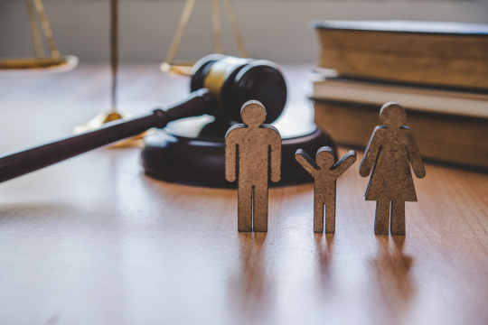 Family-Constitution-Advisory